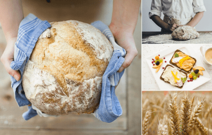 Gluten – ist es wirklich schädlich für uns alle?